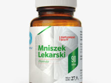 mniszek_lekarski